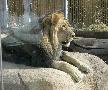 zoo, 2005
